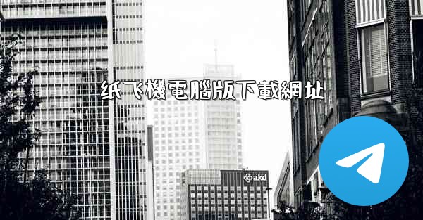 纸飞機電腦版下載網址