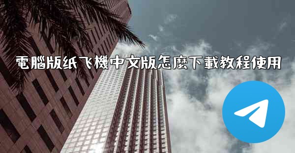 電腦版纸飞機中文版怎麼下載教程使用