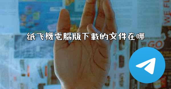 纸飞機電腦版下載的文件在哪