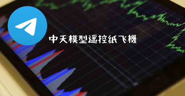 中天模型遥控纸飞機