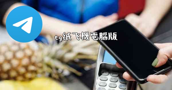 tg纸飞機電腦版