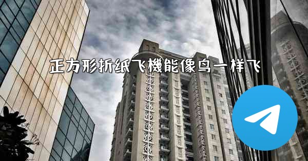 正方形折纸飞機能像鸟一样飞