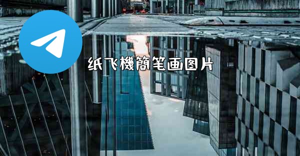 纸飞機簡笔画图片