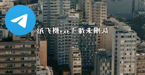 纸飞機txt下載未刪減