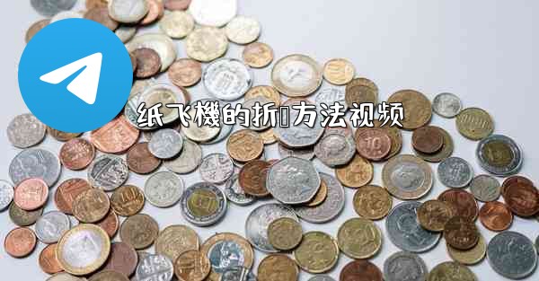 纸飞機的折叠方法视频