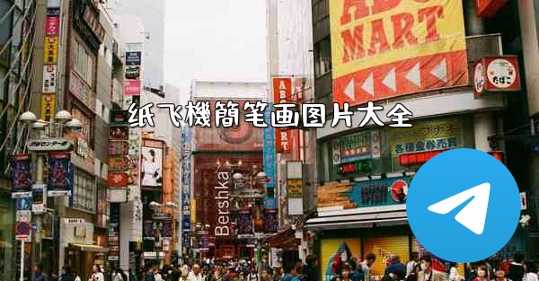 纸飞機簡笔画图片大全