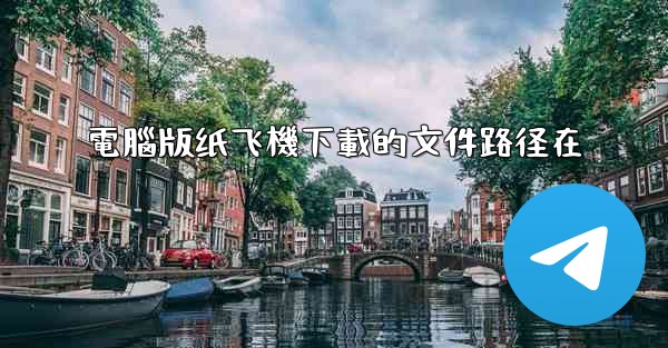 電腦版纸飞機下載的文件路径在