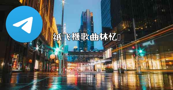 纸飞機歌曲林忆莲