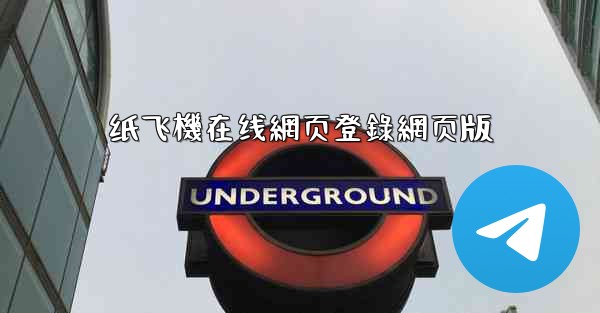 纸飞機在线網页登錄網页版