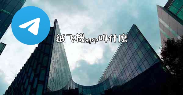 纸飞機app叫什麼