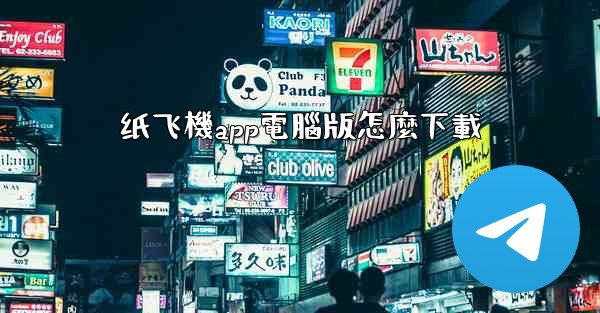 纸飞機app電腦版怎麼下載