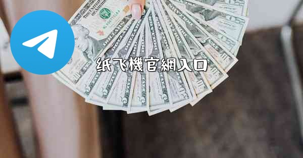 纸飞機官網入口