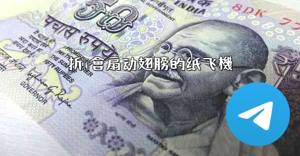 折叠會扇动翅膀的纸飞機