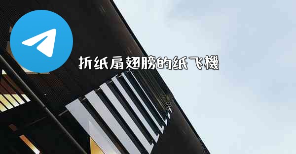 折纸扇翅膀的纸飞機