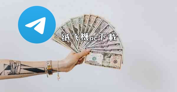 纸飞機pc下載