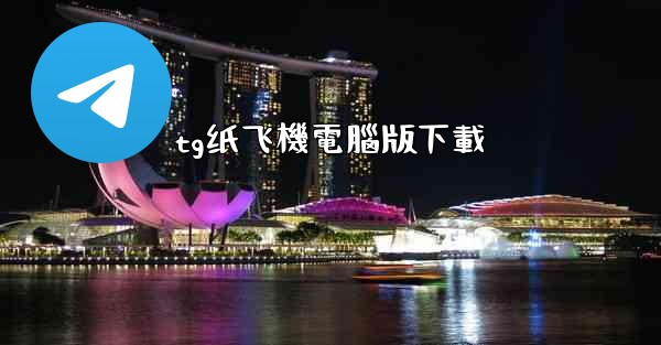 tg纸飞機電腦版下載