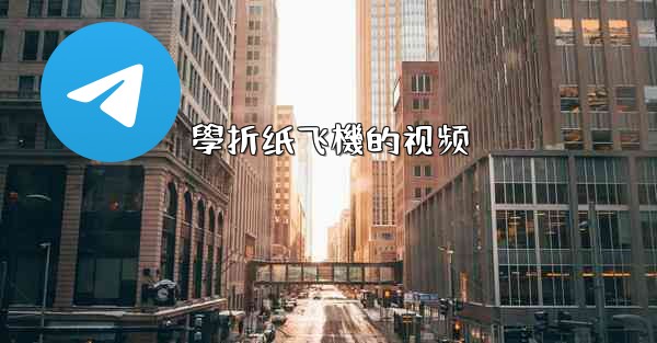 學折纸飞機的视频