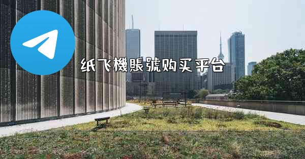 纸飞機賬號购买平台