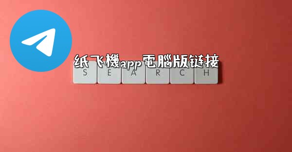 纸飞機app電腦版链接