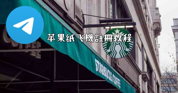 苹果纸飞機註冊教程