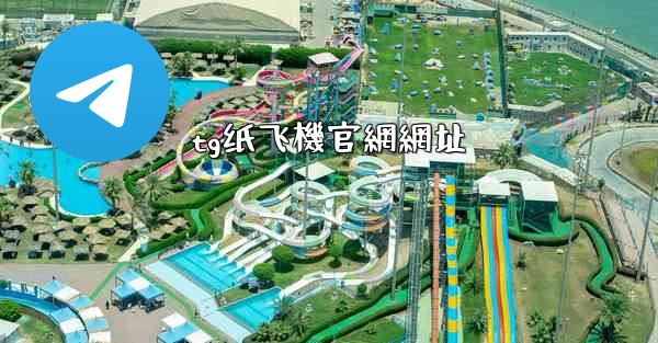 tg纸飞機官網網址