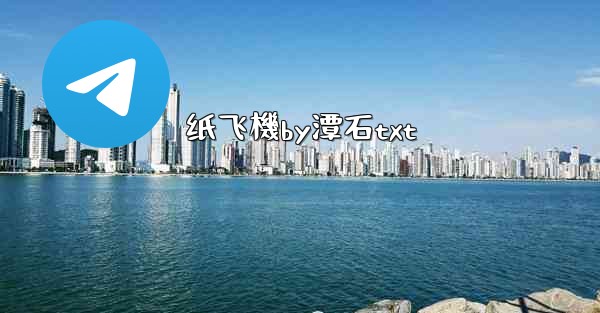 纸飞機by潭石txt