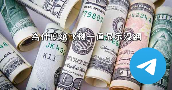 為什麼纸飞機一直显示没網