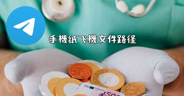 手機纸飞機文件路径