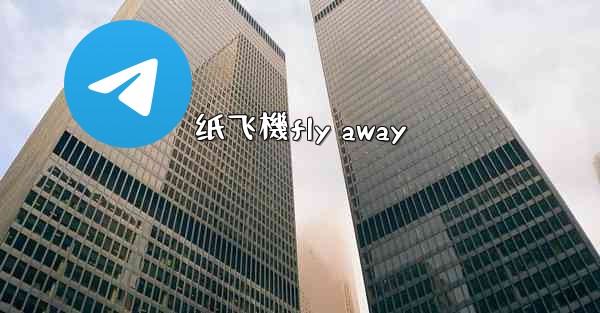 纸飞機fly away