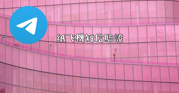纸飞機短信驗證
