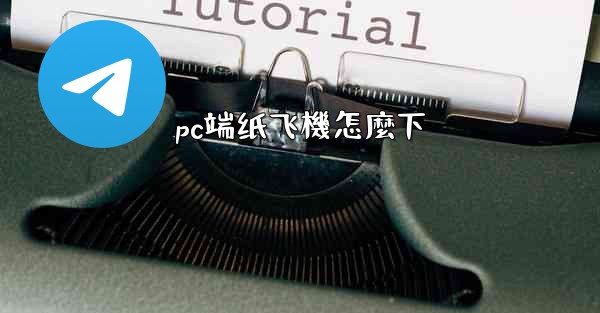 pc端纸飞機怎麼下