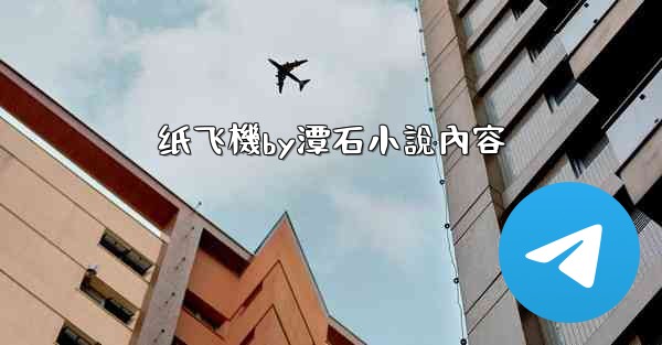 纸飞機by潭石小說內容