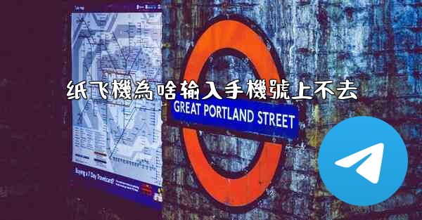 纸飞機為啥输入手機號上不去