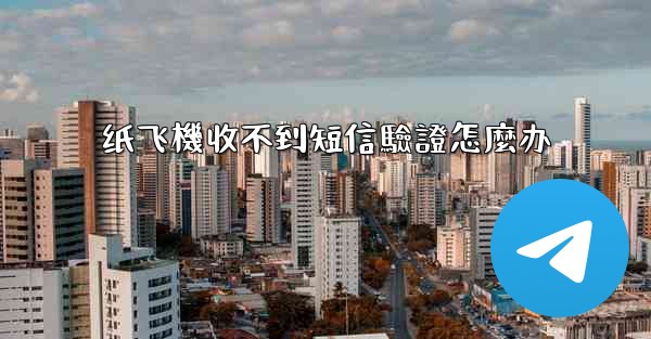 纸飞機收不到短信驗證怎麼办