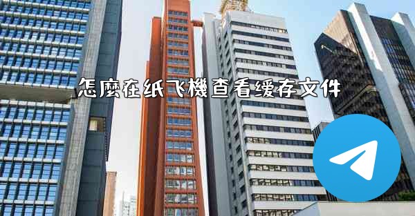 怎麼在纸飞機查看缓存文件