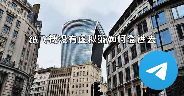 纸飞機没有虚拟號如何登进去