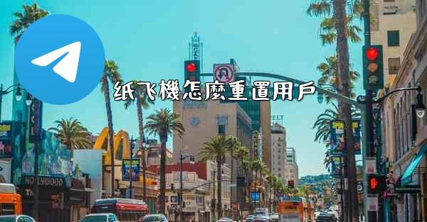 纸飞機怎麼重置用戶