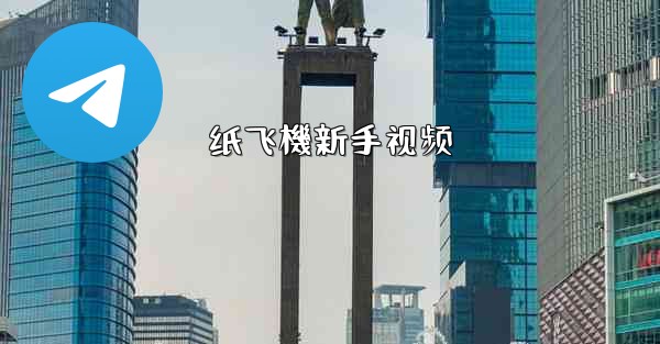 纸飞機新手视频
