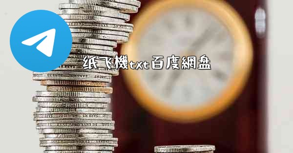 纸飞機txt百度網盘