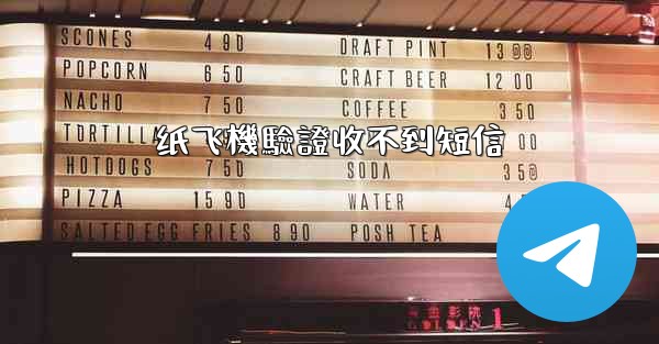 纸飞機驗證收不到短信