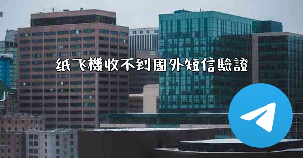 纸飞機收不到國外短信驗證