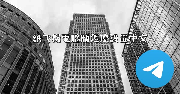 纸飞機電腦版怎麼設置中文