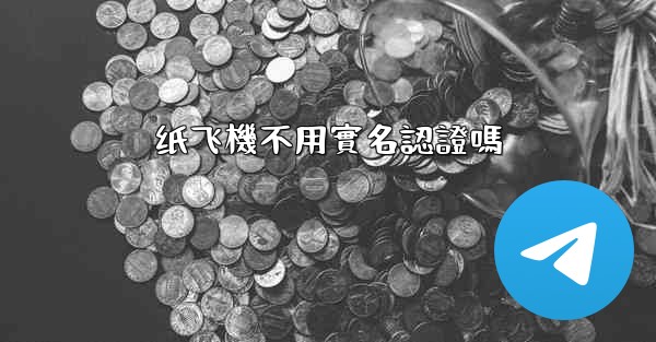 纸飞機不用實名認證嗎