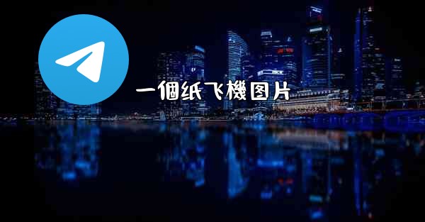 <b>一個纸飞機图片</b>
