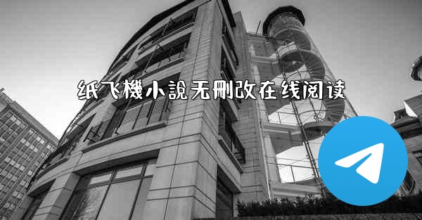 纸飞機小說无刪改在线阅读