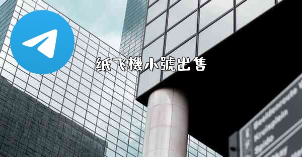 纸飞機小號出售