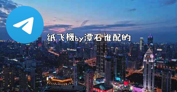 纸飞機by潭石谁配的