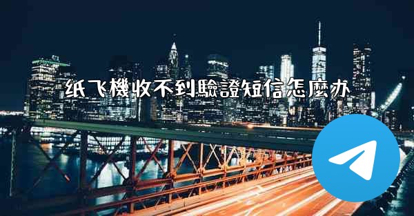 纸飞機收不到驗證短信怎麼办