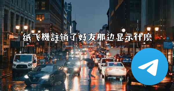 纸飞機註销了好友那边显示什麼