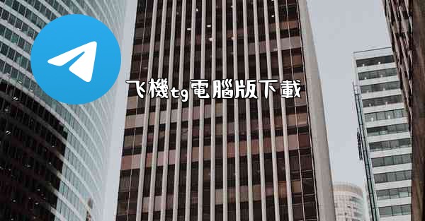飞機tg電腦版下載